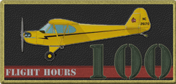 THE FIRST 100 FLIGHT HOURS